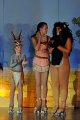 Lionking 0580